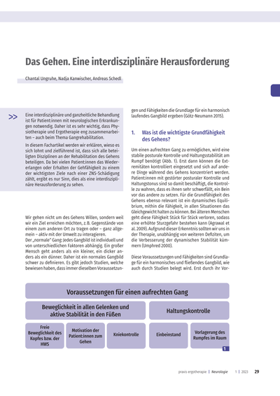 Das Gehen.<br />Eine interdisziplinäre Herausforderung<br /><br />..... Eine interdisziplinäre und ganzheitliche Behandlung ist für Patient:innen mit neurologischen Erkrankungen notwendig. Daher ist es sehr wichtig, dass Physiotherapie und Ergotherapie eng zusammenarbeiten – auch beim Thema Gangrehabilitation. In diesem Fachartikel werden wir erklären, wieso es sich lohnt und zielführend ist, dass sich alle beteiligten Disziplinen an der Rehabilitation des Gehens beteiligen. Da bei vielen Patient*innen das Wiedererlangen oder Erhalten der Gehfähigkeit zu einem der wichtigsten Ziele nach einer ZNS-Schädigung<br />zählt, ergibt es nur Sinn, dies als eine interdisziplinäre Herausforderung zu sehen. ..........<br /><br />*Publiziert: Zeitschrift praxis Ergotherapie 2023-01
